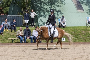Bild 607 - Pony Akademie Turnier